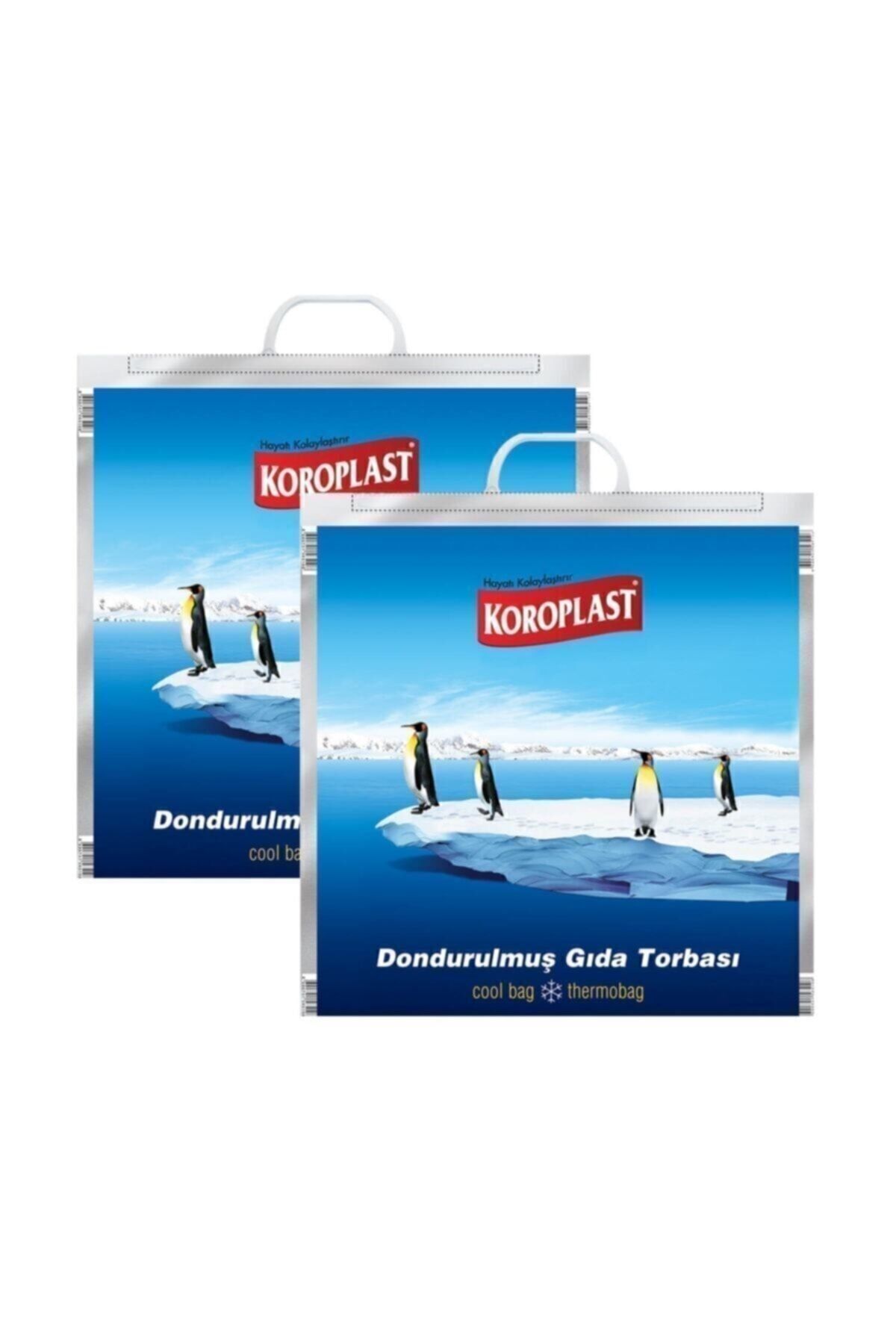 Dondurulmuş Gıda Torbası 50x52 Cm - 2'li