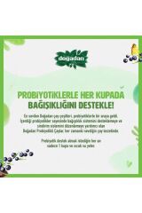 Probiyotikli Yeşil Çay Açai Ananas 14lü X2