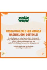 Probiyotikli Çay Rooibos Vanilya 14lü X2