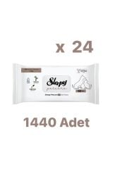 Petcare Evcil Hayvan Temizleme Havlusu 60x24Paket (1 Koli)